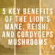 5 KEY BENEFITS OF THE LION'S MANE, REISHI, AND CORDYCEPS MUSHROOMS